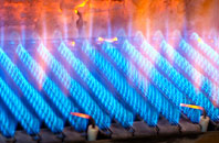 Cakebole gas fired boilers